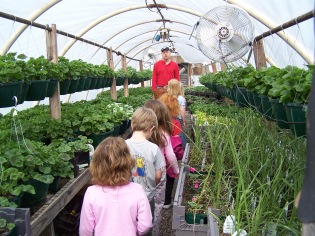The school kids in one of my smaller greenhouses.